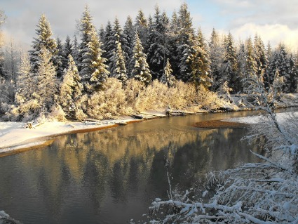 Mendenhall River in the winter in Juneau, Alaska