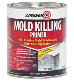 Mold killing primer paint will kill mold, mildew, and odor causing bacteria.