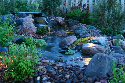 Accent outdoor landscape lighting