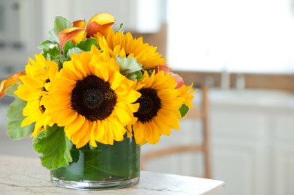 Bouquet of Sunflowers