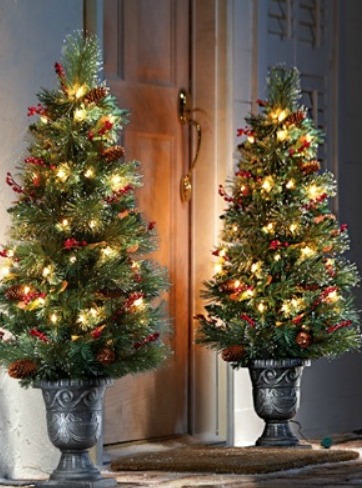 Flank your front door with potted trees decorated with elegant white lights.