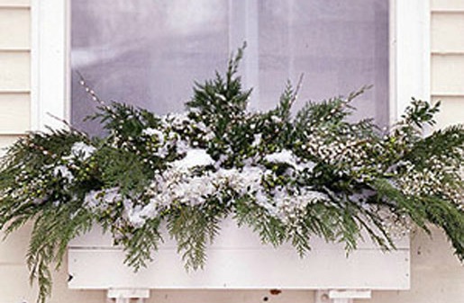 Stage your home exterior window boxes with cedar boughs during the holiday season.