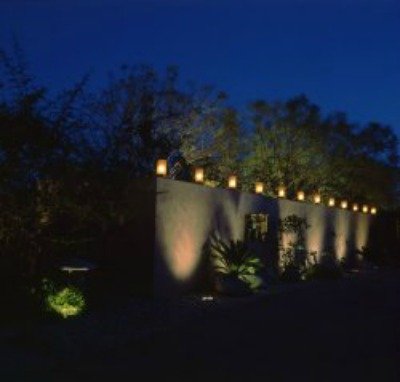 Backlighting highlights behind shrubs.