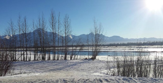 Matanuska River with Pioneer Peak in the background.