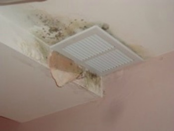 Mold around the ventilation system can be deadly, sending mold spores throughout the house.