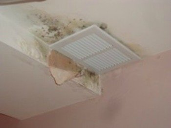 Mold around the ventilation system can be deadly, sending mold spores throughout the house.