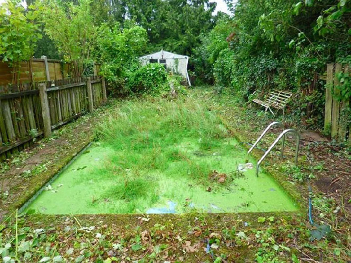 An algae filled swimming pool will not help sell your home.