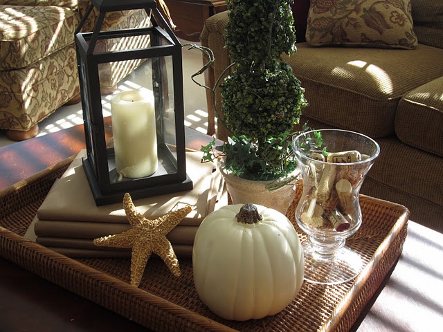 A coffee table vignette made of objects from nature.